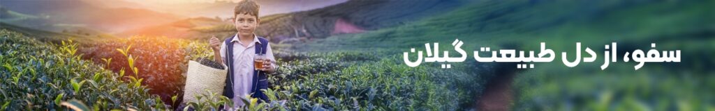 فروشگاه سفو