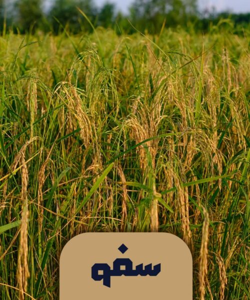 بیجار